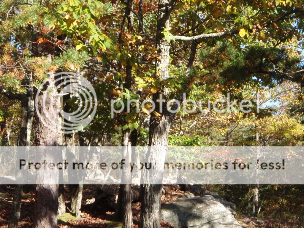 Pilot Mountain & Mt. Airy Photos (King rentals, camp, move) North